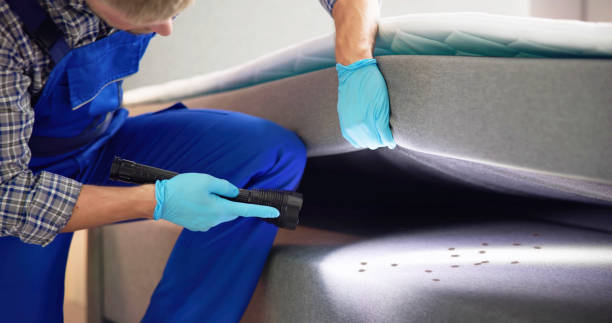 Best Bed Bug Extermination  in Watertown, TN