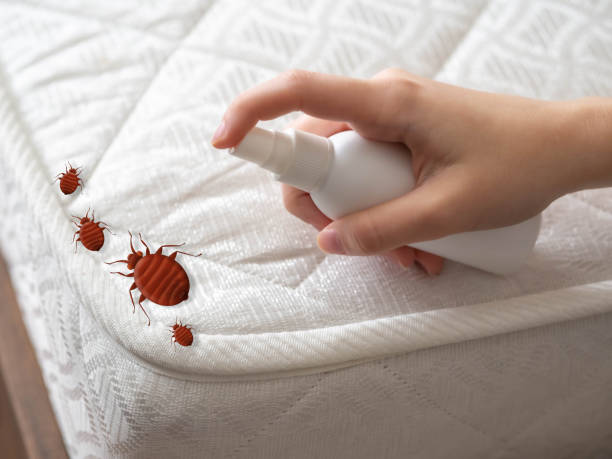 Best Affordable Pest Control Services  in Watertown, TN