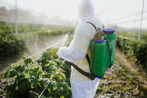 Best Local Pest Control Services  in Watertown, TN